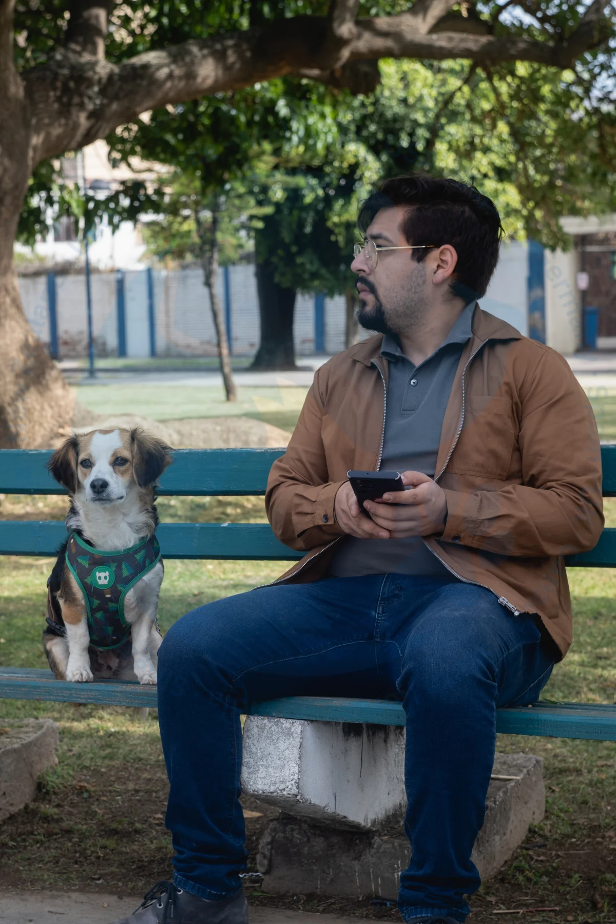 Young man using his phone with his dog beside him on a park bench, easily finding pet services on LetsPet.