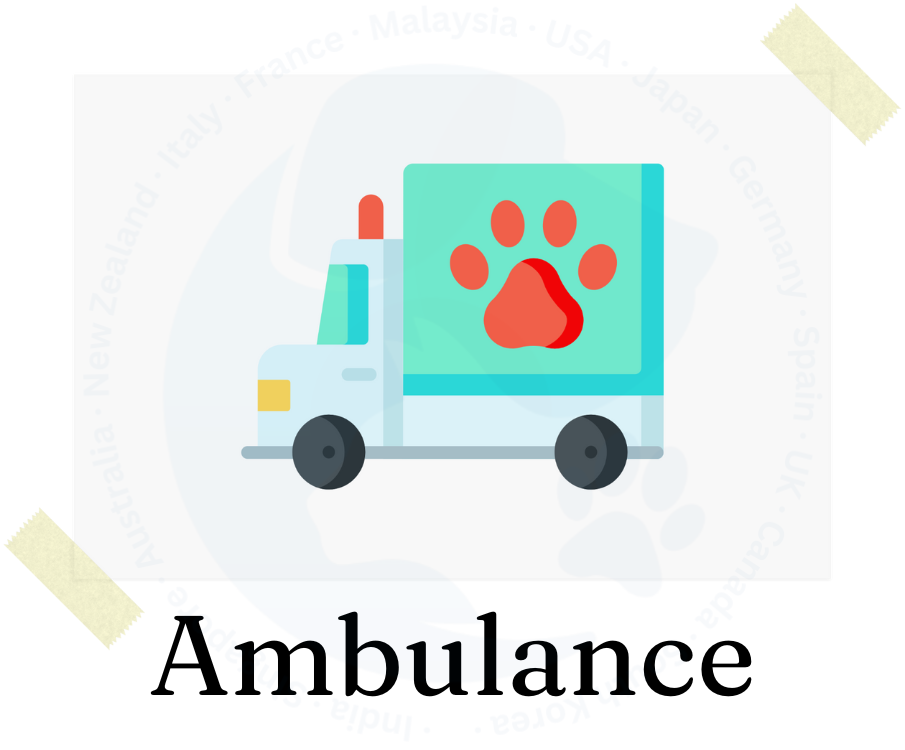 Ambulance