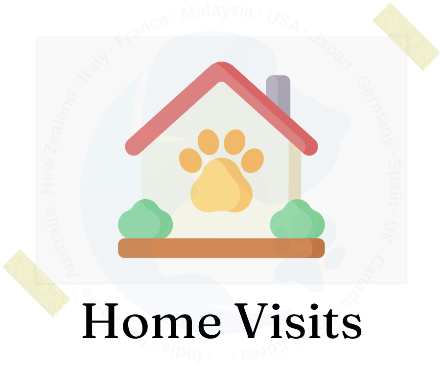 Home Visit